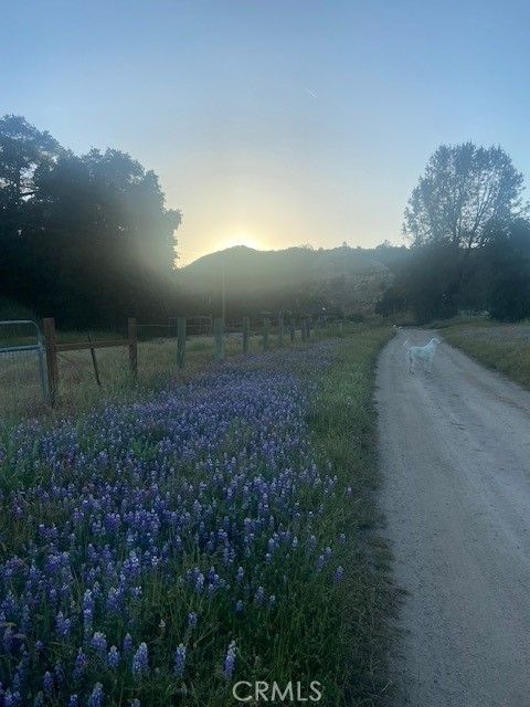 Tiny photo for 1575 Parkhill Road, Santa Margarita, CA 93453 (MLS # NS26109447)