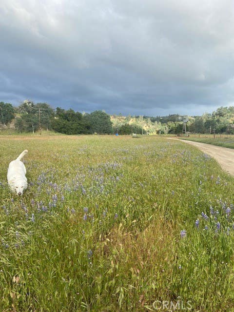 Tiny photo for 1575 Parkhill Road, Santa Margarita, CA 93453 (MLS # NS26109447)