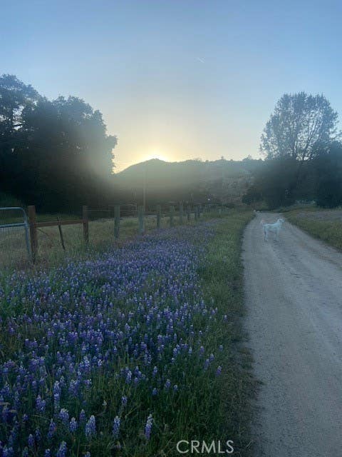 Tiny photo for 1575 Parkhill Road, Santa Margarita, CA 93453 (MLS # NS26109447)