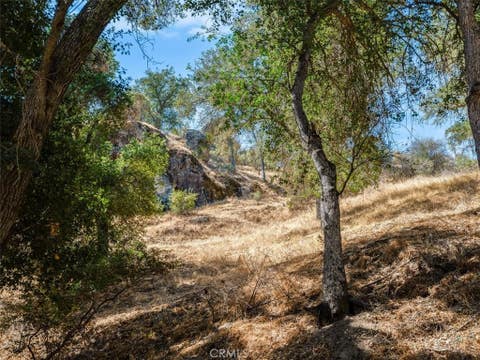 Tiny photo for 1575 Parkhill Road, Santa Margarita, CA 93453 (MLS # NS26109447)