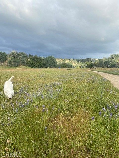 Tiny photo for 1575 Parkhill Road, Santa Margarita, CA 93453 (MLS # NS26109447)
