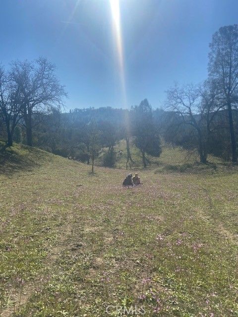 Tiny photo for 1575 Parkhill Road, Santa Margarita, CA 93453 (MLS # NS26109447)