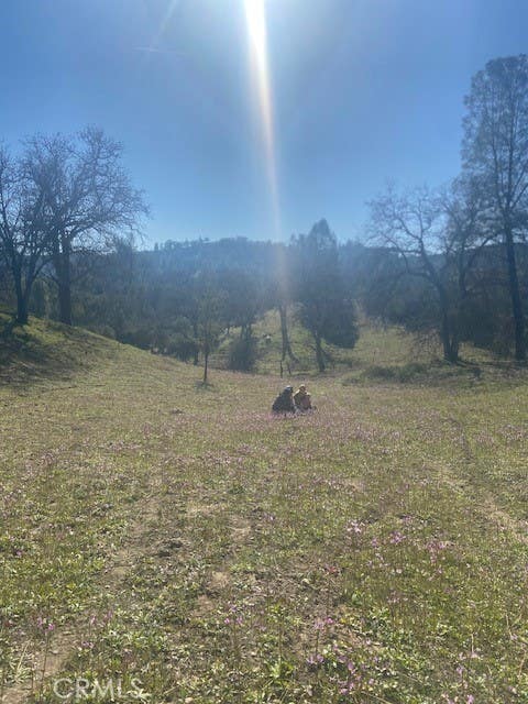 Tiny photo for 1575 Parkhill Road, Santa Margarita, CA 93453 (MLS # NS26109447)