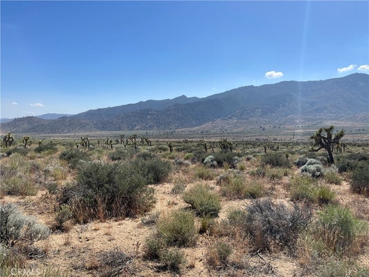 15310023 KELSO VALLEY ROAD, WELDON, CA 93283 - Image cd607b1bbd7c564ad2896a8f2d8efbd5/1573544951
