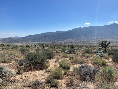 Photo of 15310023 Kelso Valley Road, Weldon, CA 93283 (MLS # HD25134739) Photo of 15310023 Kelso Valley Road, Weldon, CA 93283 (MLS # HD25134739)