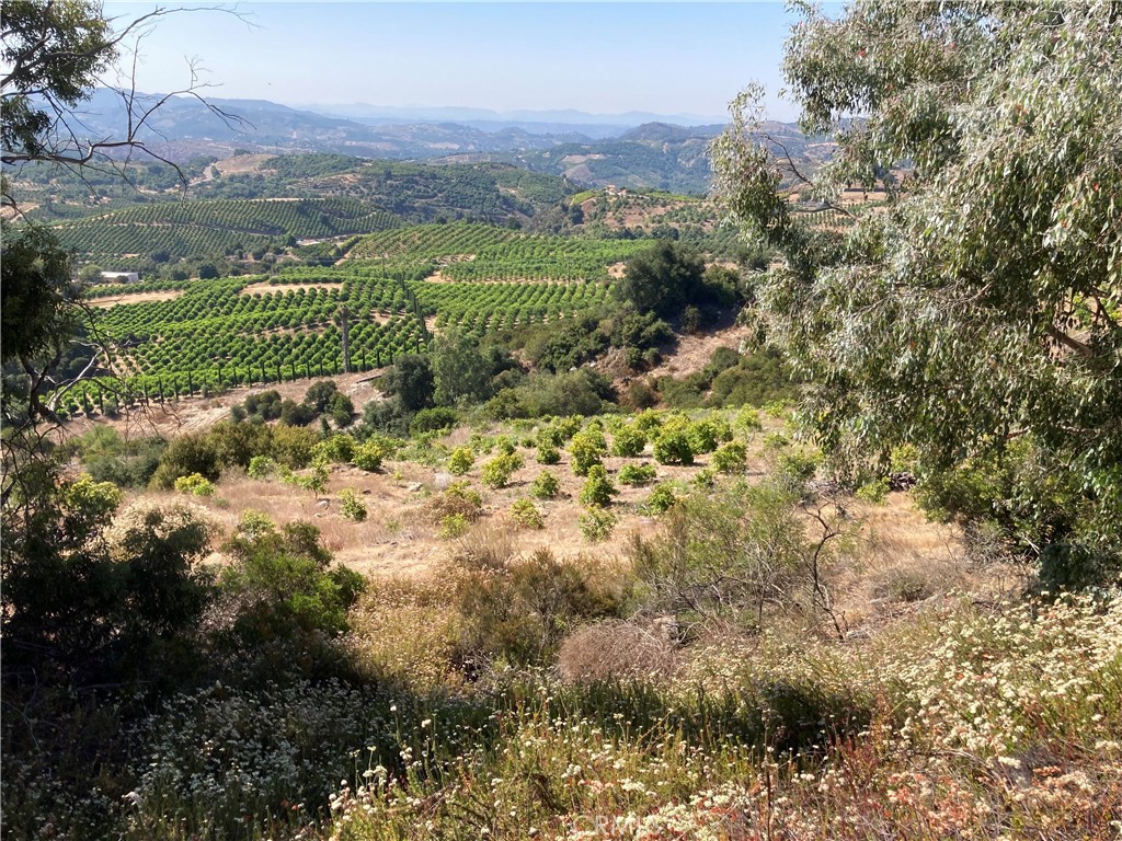 37 El Calamar Road