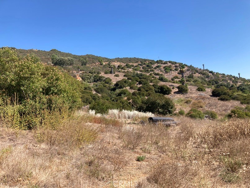 9.63 acres with stunning views and significant potential (933-050-037). The top westerly corner contains approximately 100 Ruby Red grapefruit trees, while the lower portion of the property has some flat areas. There is currently no water meter on the property, although it qualifies for a 2" meter and is presently watered by an adjacent property. Access must be established from El Calamar. Additionally, there is a nearby property (933-050-039) featuring a Eureka Lemon grove, available for $420,000 (refer to attached diagram), with access from Carancho Road. This property has an existing 3" water meter, and the seller may offer a discount if both properties are purchased together. Call for maps and more information.