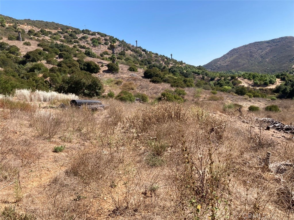 37 El Calamar Road
