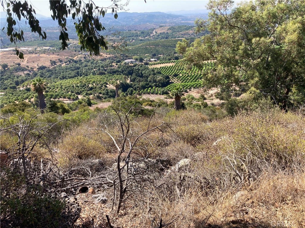 37 El Calamar Road