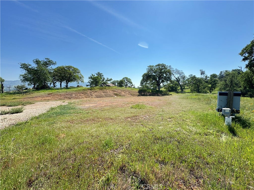 3295 Blue Oak Dr