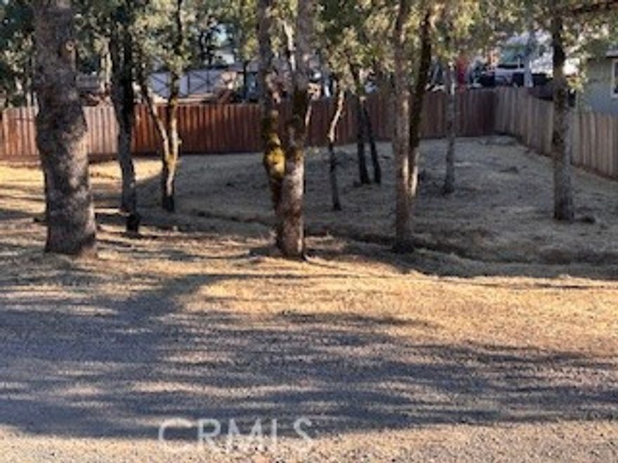 Great Lot Nestled in Oak Trees, Slight Slope, Great Space for your new dream home.