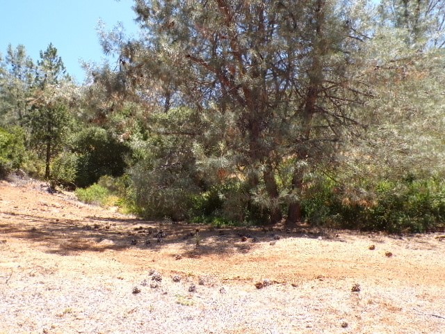 Large easy slope lot in a very good neighborhood, close to club house, marina, fishing, kayaking, sailing, parks, boating, water sports of every kind, hiking, biking, abundant wildlife, fine dining, entertainment, and just a short drive to Buckingham Golf and Country Club
