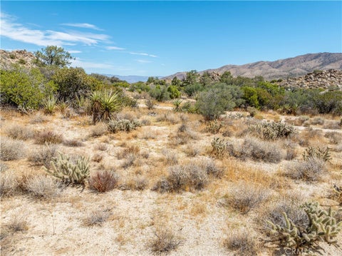 Photo of 0 Hwy 74, Mountain Center, CA 92561 (MLS # SW26198022)