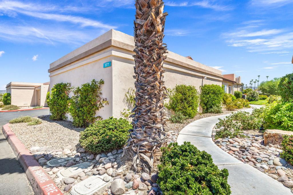 Palm Royale - Residential
