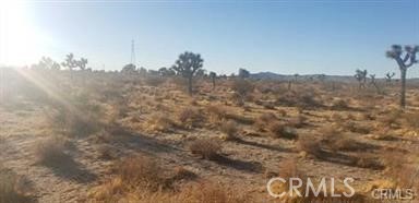 APN# 0459-331-06 // 4.84 Acres (210,830 SF lot). Adjacent lot also for sale, sold separately, APN# 0459-331-07 (4.4 acres). Buy both for a total of 9.24 acres or separate. Located west of Hwy 395 and south of El Mirage Rd. It is near FOUR block mobile home tract. There are other residential tracts in the surrounding area as well. Build your own dream home or hold on to it for future residential development. Buyer to verify all information: zoning, utilities and use of land. Go direct. Seller may offer financing with reasonable down payment and financing terms.