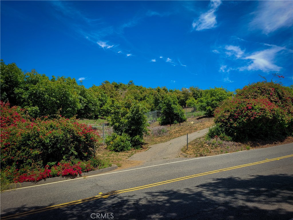 Immaculate 24+ Acre Hass Avocado Grove with Panoramic Views in De Luz
Nestled in the Rolling Hills of De Luz, this stunning avocado grove offers a rare opportunity to own a producing agricultural estate with breathtaking scenery. The property features approximately 1,500 mature Hass avocado trees in full production, along with 250 younger trees (approximately 1.5 years old), promising future growth and sustained yield.
Key features include a 2-inch water meter, partial fencing, a storage container, and an area of majestic ancient oak trees. A seasonal stream meanders through the landscape, adding natural charm and tranquility to the setting.
With some ideal sites for a custom home, this property is perfect for building your dream estate. Enjoy the panoramic views of surrounding groves and hills—on crystal-clear days, you can even enjoy a sight of the ocean, a rare and coveted sight in De Luz.
As a bonus, the grove also includes a variety of other fruit trees, such as orange and grapefruit, enhancing the property’s appeal and diversity.
Whether you're seeking a peaceful retreat, an income-producing grove, or the perfect spot for a luxury home, this property offers it all.