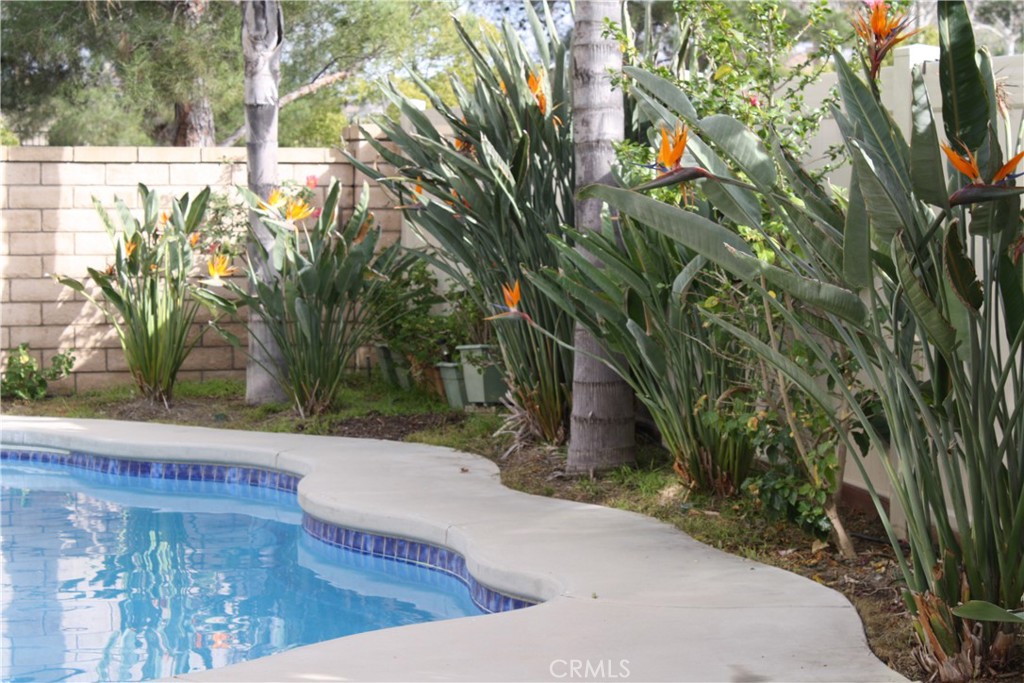 31464 Daybreak Court