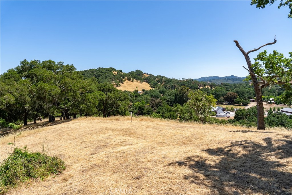 Tucked away in the peaceful westside of Atascadero, this exceptional 3.87 acre parcel with water, offers a rare opportunity to create your custom retreat. Framed by stately oak trees and boasting expansive views of the surrounding countryside, the property provides a stunning natural backdrop for your future home. A partially cleared potential building area sits at the top of the lot which offers an ideal location to capture both privacy and panoramic vistas. Even better, a water meter is already installed, saving you both time and upfront investment, a valuable advantage for vacant land in this area. Whether you're envisioning a modern farmhouse, a rustic weekend escape or a private estate, this property offers the space, setting and infrastructure to make it a reality. Take a walk on the land and imagine the possibilities, this could be the place where your vision comes to life.