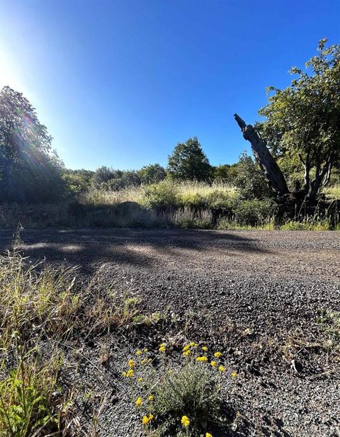 Photo of Oak Way, Julian, CA 92036 (MLS # 260011227SD)