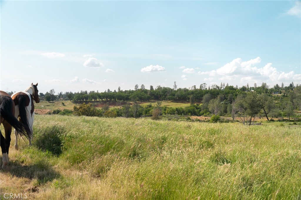 4829 Round Valley Ranch Road