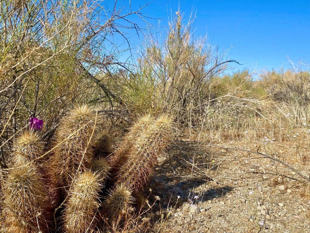 Not Applicable-1 - Land