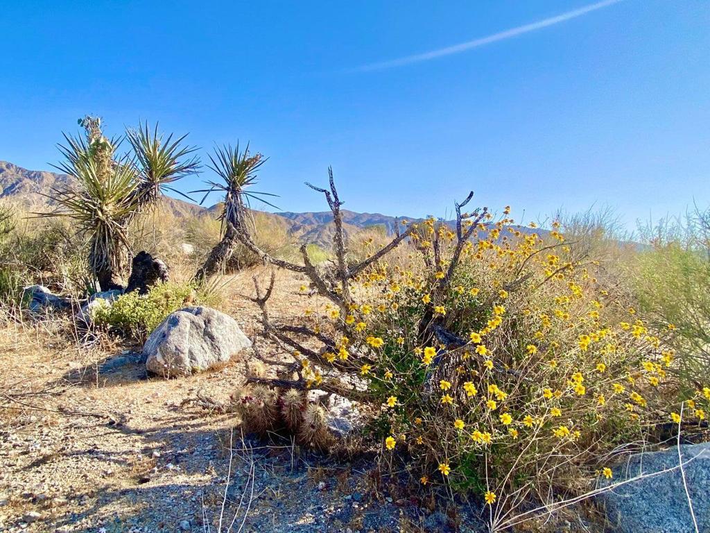 Not Applicable-1 - Land