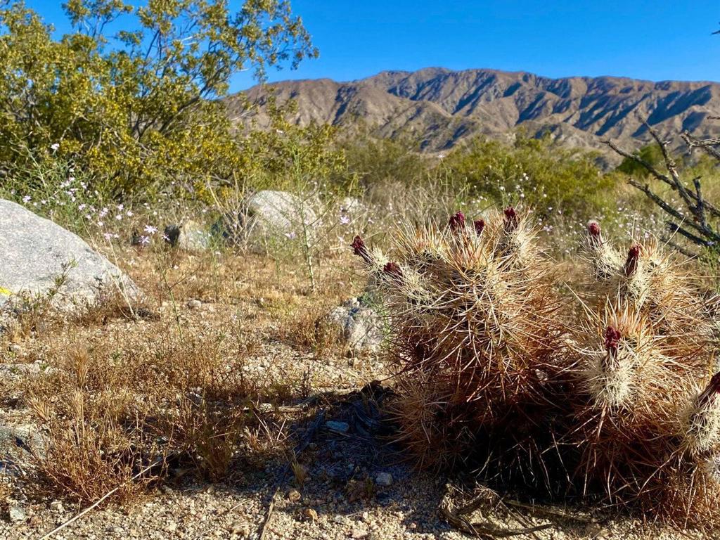 Not Applicable-1 - Land