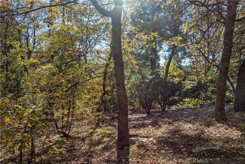 Arrowhead Woods (AWHW) - Land