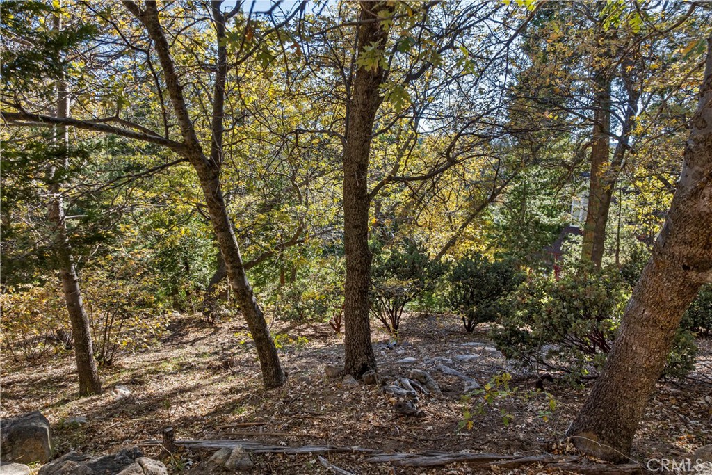 Arrowhead Woods (AWHW) - Land