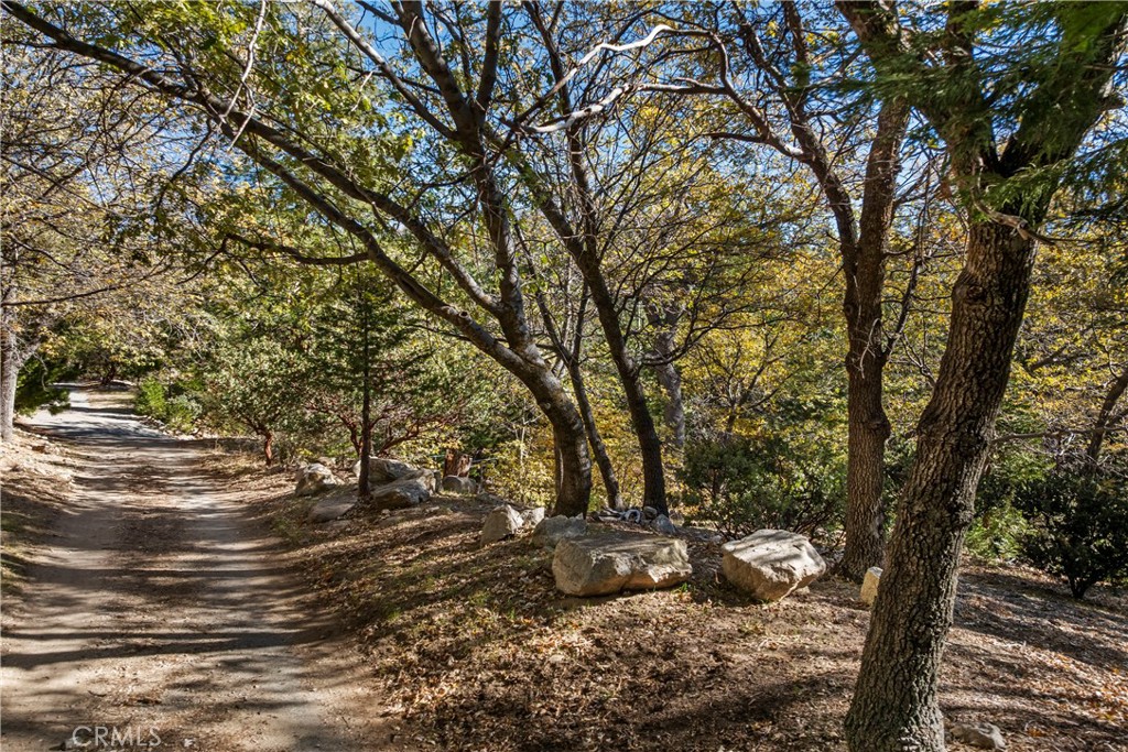 Arrowhead Woods (AWHW) - Land