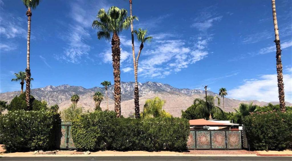 This unique 1959 mid-century home is full of charm and personality, reflecting the artistic flair of its couture seller-designer. This peaceful oasis is hidden behind private gates and has three bedrooms and two full baths. The original carport is a permitted 400 sq. ft. creative space with glass double doors and windows. The primary opens to the third bedroom, currently used as a sitting room, but it can easily be turned back into a the original three bedroom layout. A lush front garden with a small bridge leads to the front door. Come inside to discover an open layout, connecting the updated kitchen with a cozy stone counter and built-in banquette to the living room, pool, and covered patio. In the living room, hand-painted garden party mural adds playful vibes next to tall 8' sliding doors. Passing through, a bamboo-covered outdoor dining area greets you with a fire pit table that can seat up to 12 guests. Outdoors is surrounded by mature landscape and plants with full outdoor kitchen. Commercial-grade shade sails cover parking for two vehicles out front, providing added protection from the sun. Extras include solar panels, a newer roof, water softener system, newer double pane windows and doors. This home is great as a full time residence or a truly unique rental and short-term rental permits are available. Located on an up and coming street near Demuth Park with pickleball courts, dog parks, and mountain views- just minutes from downtown Palm Springs. Close shopping, dining, Starbucks, CVS, Ralph's and more!