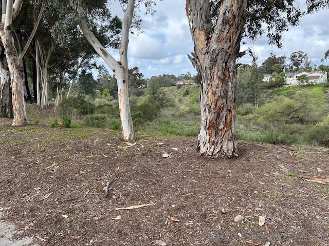 Tierrasanta - Residential