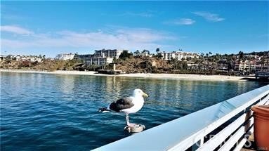 40 Paseo Alba, San Clemente CA 92672 - Photo 28