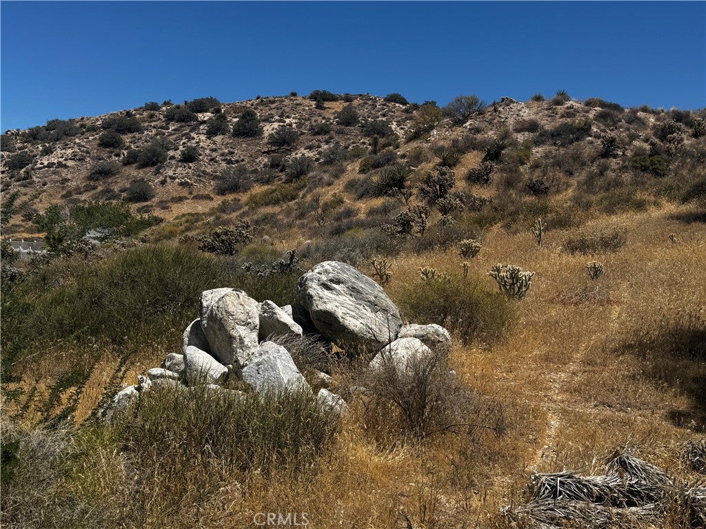 54025 Ridge