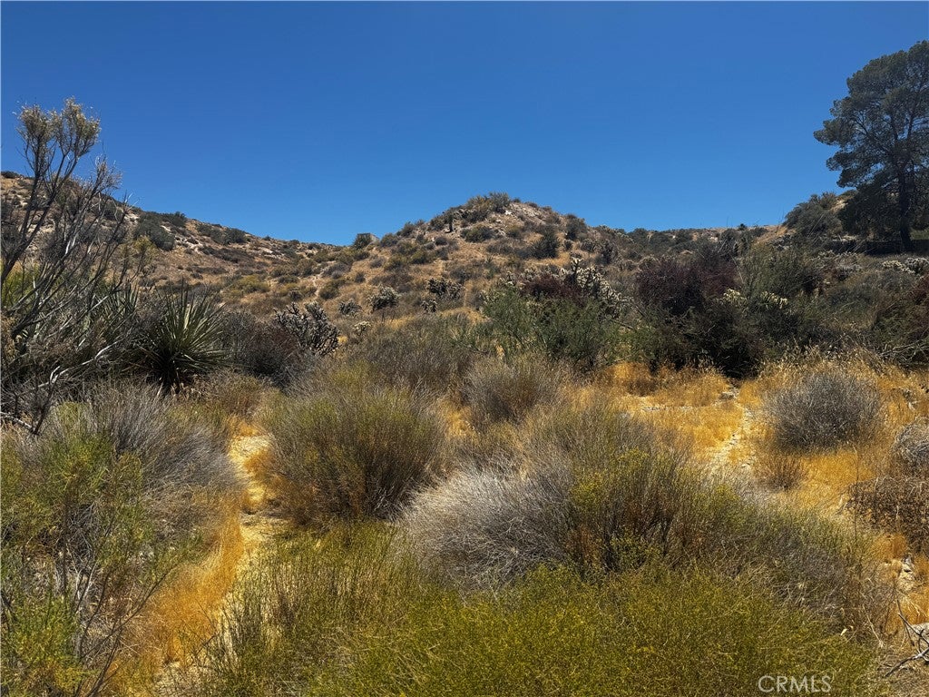 54025 Ridge
