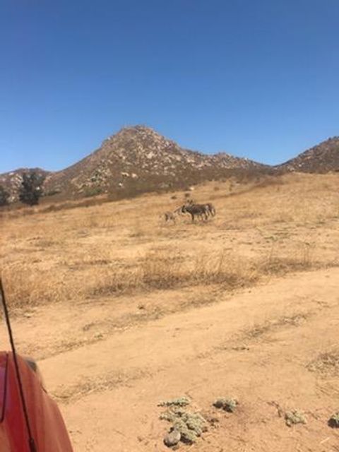 Photo of 1 Cantarini Road, Moreno Valley, CA 92557 (MLS # 219045581DA)