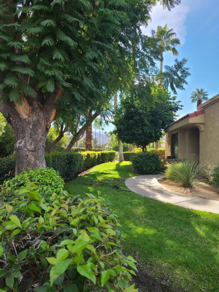 34197 Calle Mora