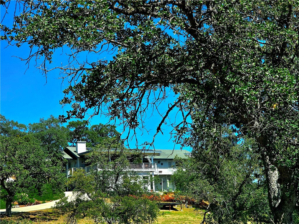 29657 Lilley Mountain