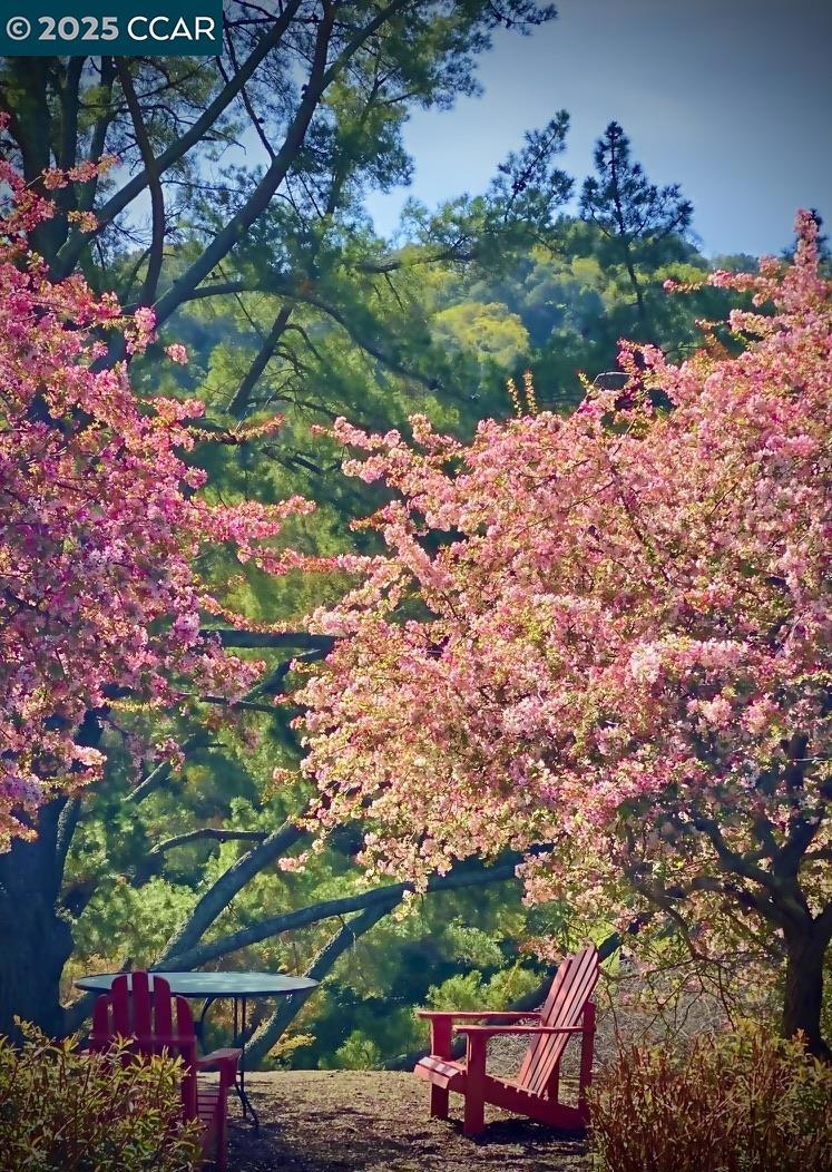 ROSSMOOR - Residential