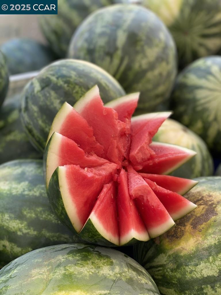 ROSSMOOR - Residential