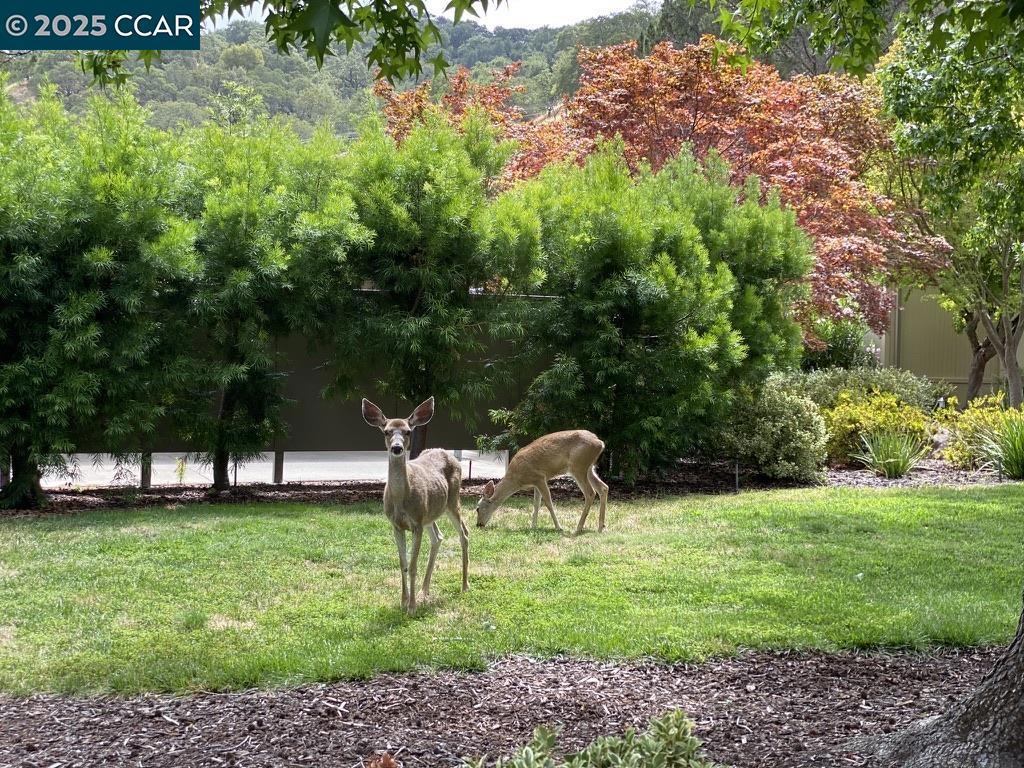 ROSSMOOR - Residential