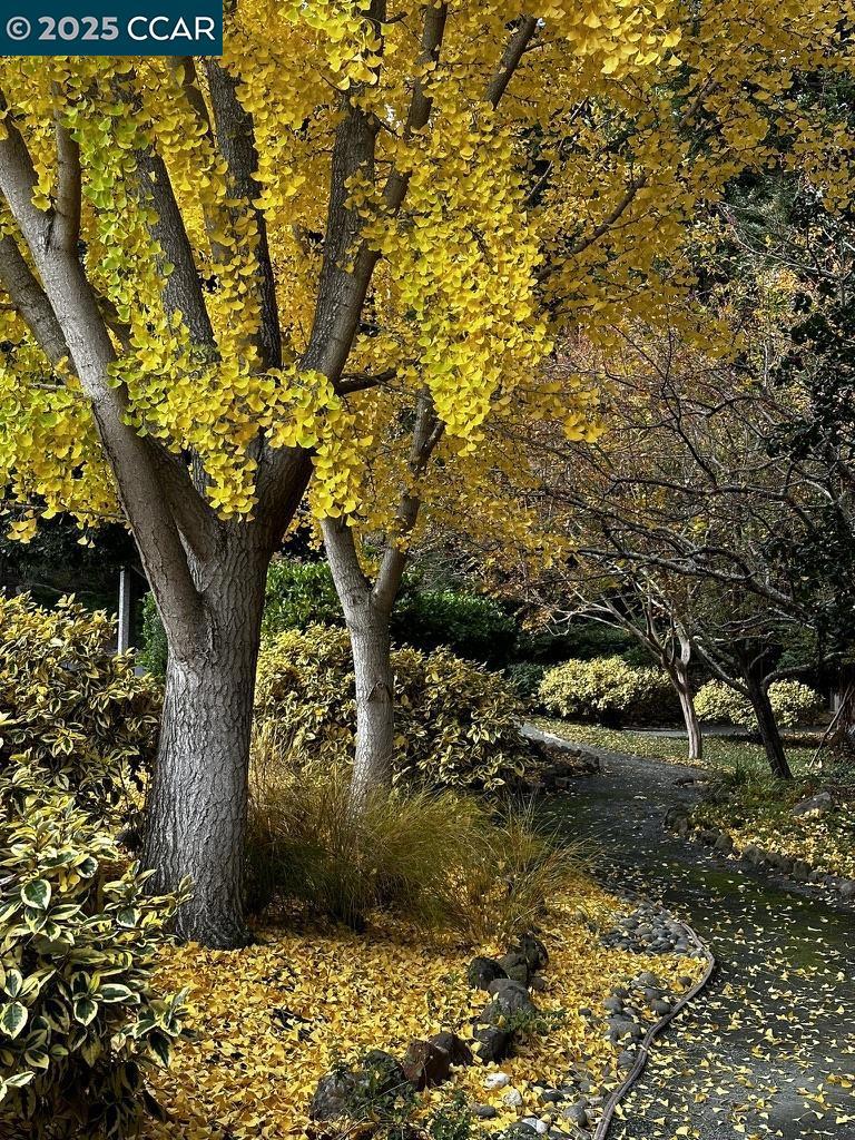 ROSSMOOR - Residential