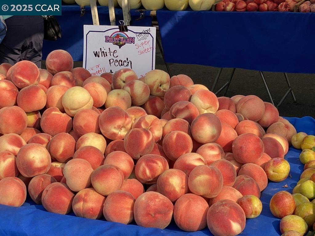 ROSSMOOR - Residential