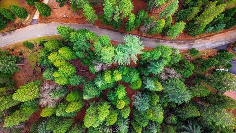 5435 Pine Ridge Grizzly Flats CA 95636