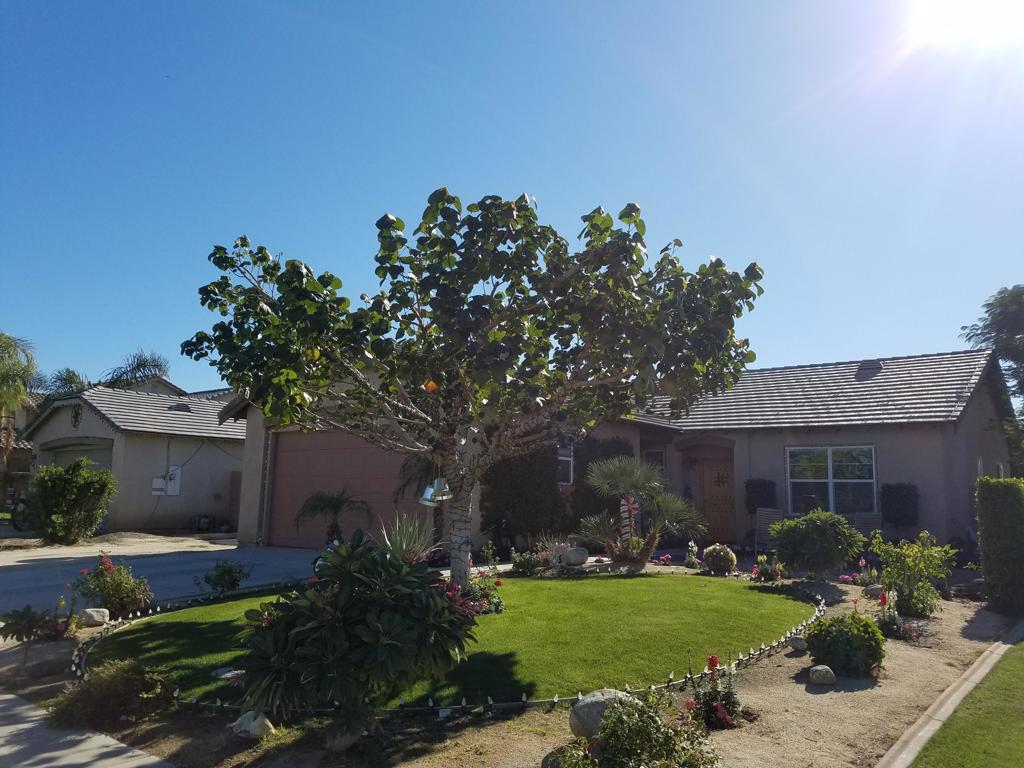 Bella Canto - Residential