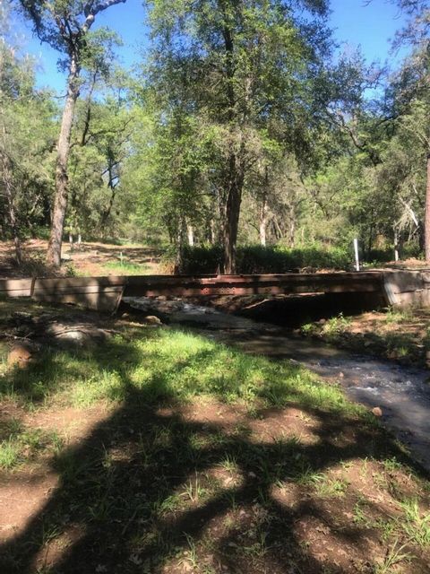 Photo of 10255 Turkey Trot Place, Grass Valley, CA 95949 (MLS # ML82043844)