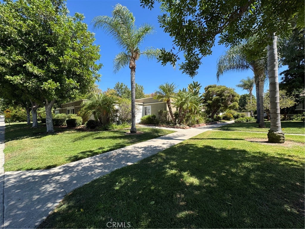 923 Avenida Majorca D