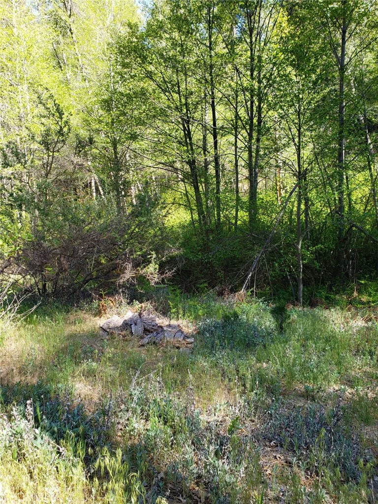 29531 Little Bear Creek Road