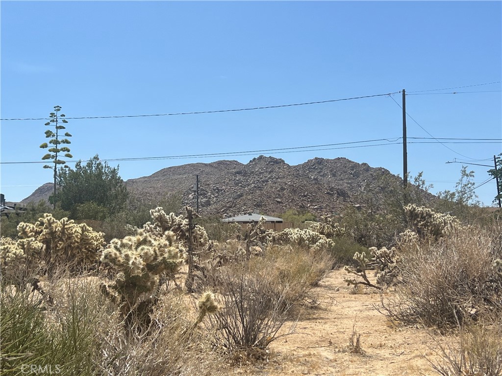 Location Location !. Located just three blocks from Joshua Tree village and five minutes from Joshua Tree National Park, this rare lot spans over 18,000 square feet. This incredible property offers various possibilities—you can build your main home, an Airbnb, and even an Accessory Dwelling Unit (ADU). You have the option to construct one house on El Reposo Circle and another on Grand View Circle, or choose to build both on Easterly Drive. The potential is limitless, with utilities available on the street. Subdivision is also an option, allowing for two houses and additional units. Whatever your ambitions may be, please verify with the county and utility companies regarding the available options for this lot. The seller is open to financing with the right terms. T Restaurants, shops, bakeries, cafes, the farmers' market, and the world-famous JT Saloon. One of the hottest vacation rental markets in the Morongo Basin. Many new designer homes in this neighborhood. Close to Joshua Tree National Monument, where millions of tourists visit every year. Contact the county with any questions regarding your Building and usage. Contact the Joshua Basin Water District and Southern California Edison for all questions~