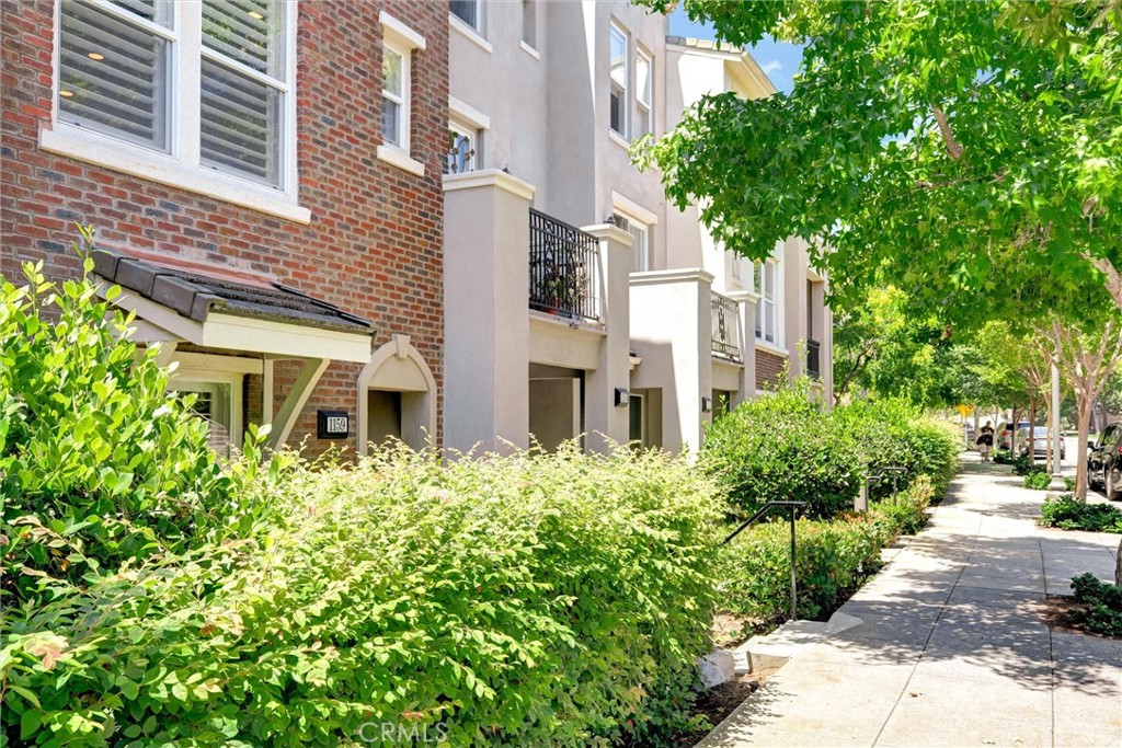 1159 E Elfin Forest Road E